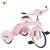 Junior Sky Princess Tricycle Junior Sky Princess Tricycle